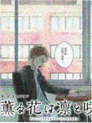 乘风破浪的姐姐5